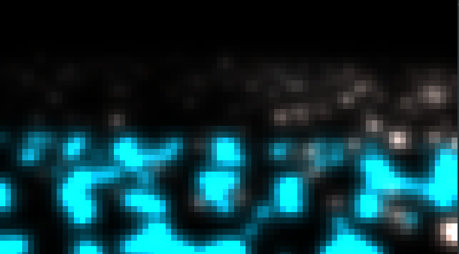 bloom1.png